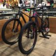 Orbea Alma Carbon und Alu Hardtail: Fix und Flink