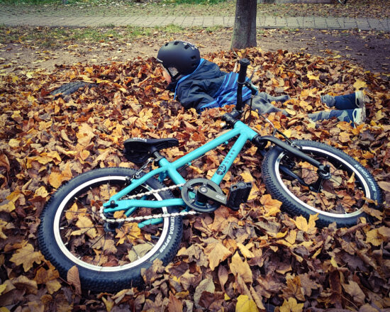 Kubikes Laub Bub